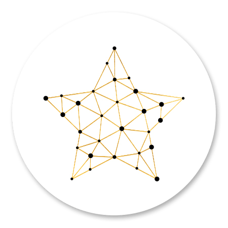 Ster connectie goud/wit